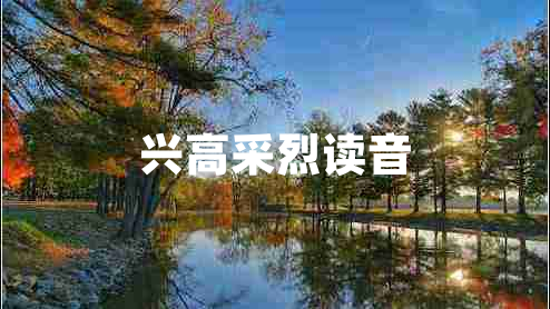 興高采烈讀音