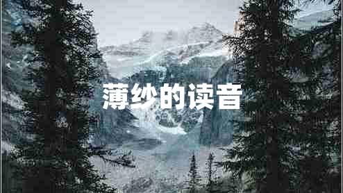 薄紗的讀音