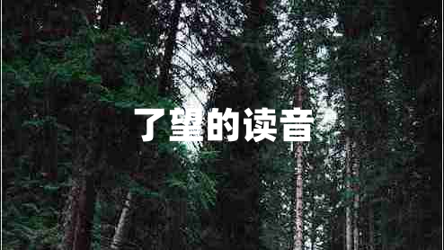 了望的讀音