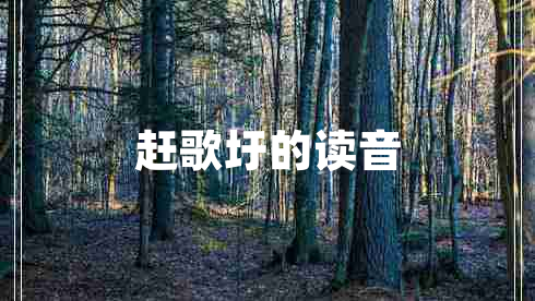 趕歌圩的讀音