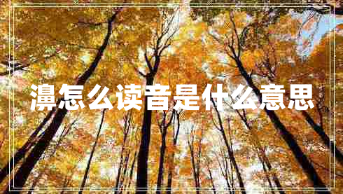 濞怎么讀音是什么意思