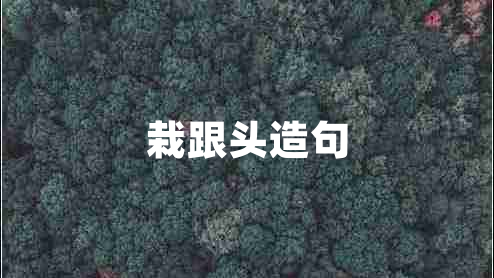 栽跟頭造句