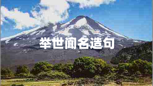 舉世聞名造句