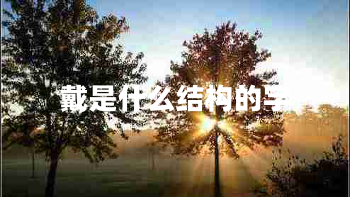 戴是什么結構的字