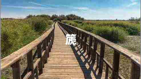 篪