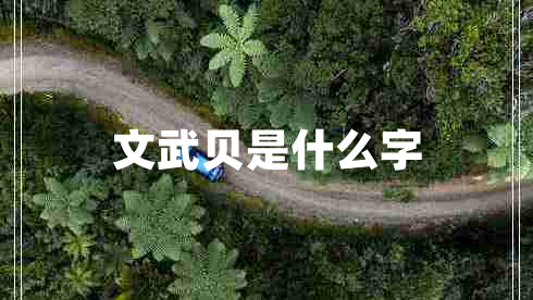 文武貝是什么字
