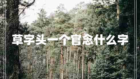 草字頭一個(gè)官念什么字
