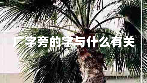 廠(chǎng)字旁的字與什么有關(guān)