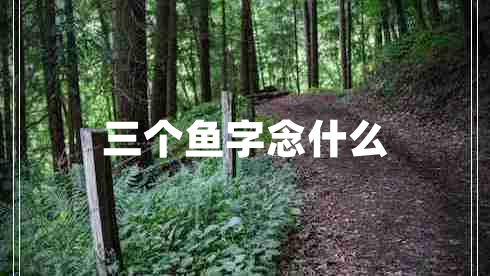 三個(gè)魚(yú)字念什么