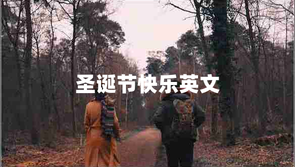 圣誕節快樂(lè )英文