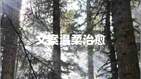 文案溫柔治愈