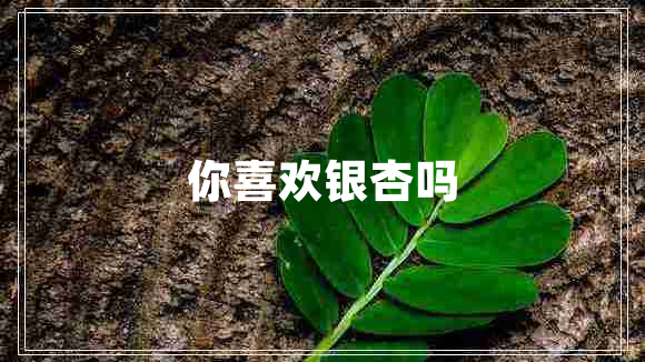 你喜歡銀杏嗎