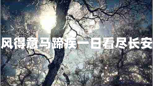 春風(fēng)得意馬蹄疾一日看盡長(cháng)安花
