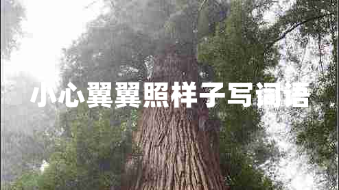 小心翼翼照樣子寫(xiě)詞語(yǔ)