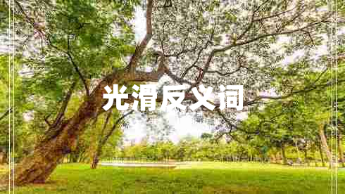 光滑反義詞