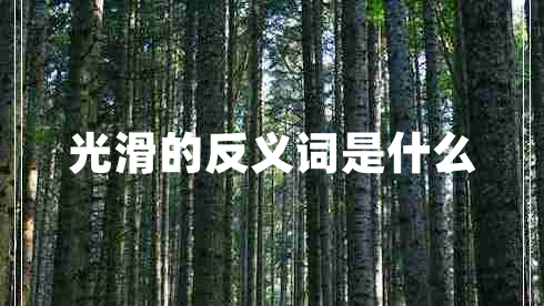 光滑的反義詞是什么