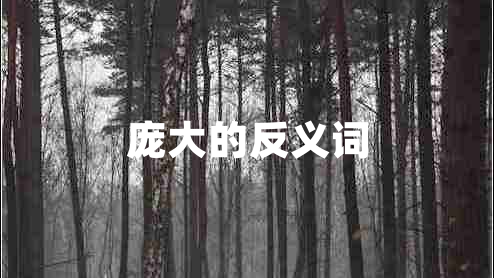 龐大的反義詞