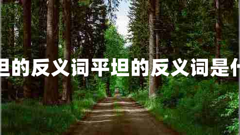 平坦的反義詞平坦的反義詞是什么