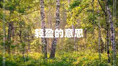 輕盈的意思