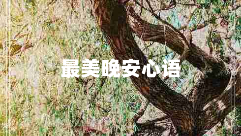 最美晚安心語(yǔ)