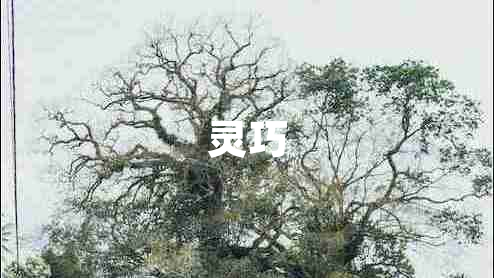 靈巧