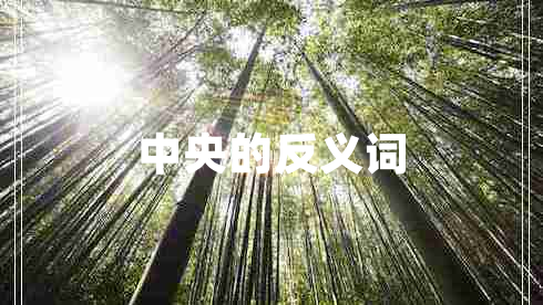 中央的反義詞