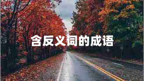 含反義詞的成語(yǔ)