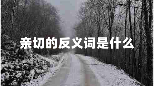 親切的反義詞是什么