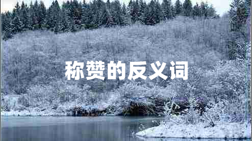 稱(chēng)贊的反義詞