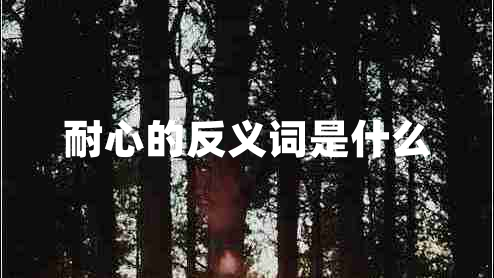 耐心的反義詞是什么