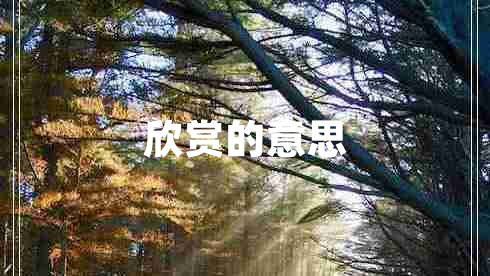欣賞的意思