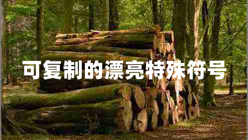 可復制的漂亮特殊符號