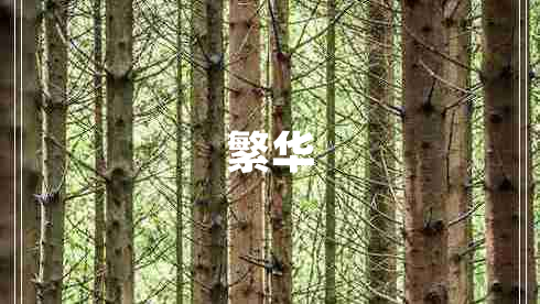 繁華