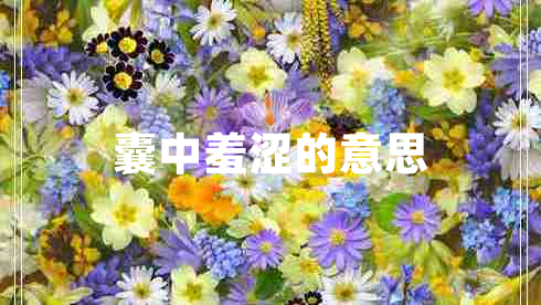 囊中羞澀的意思