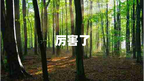 厲害了