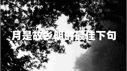月是故鄉明的最佳下句