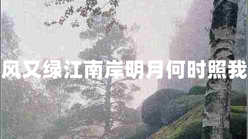 春風(fēng)又綠江南岸明月何時(shí)照我還