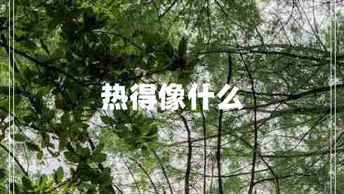 熱得像什么