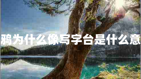 烏鴉為什么像寫(xiě)字臺是什么意思