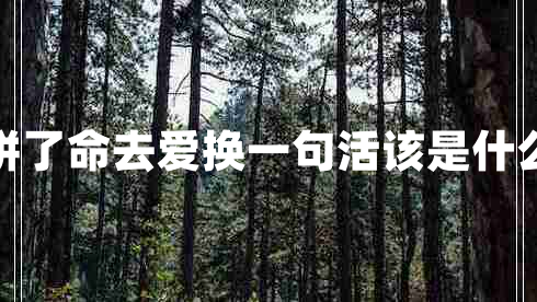 我拼了命去愛(ài)換一句活該是什么歌