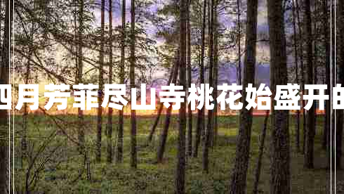 人間四月芳菲盡山寺桃花始盛開(kāi)的意思