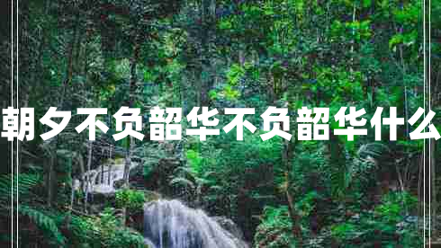 只爭朝夕不負(fù)韶華不負(fù)韶華什么意思
