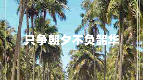 只爭朝夕不負韶華