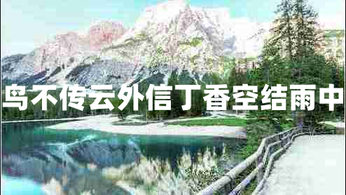 青鳥(niǎo)不傳云外信丁香空結雨中愁