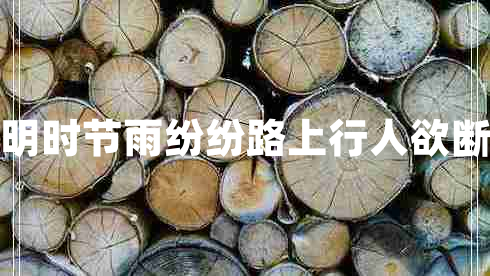 清明時(shí)節雨紛紛路上行人欲斷魂