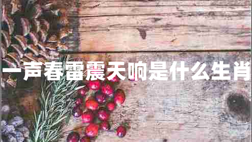 一聲春雷震天響是什么生肖