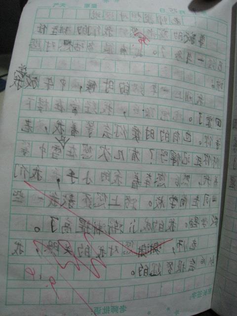 夏天的校園真美的作文怎么寫(xiě)