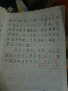 小學(xué)三級作文寫(xiě)我的校園