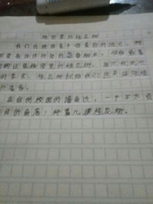 在校園里的事關(guān)于成長(cháng)的作文450字,關(guān)于校園成長(cháng)的作文,校園成長(cháng)類(lèi)作文