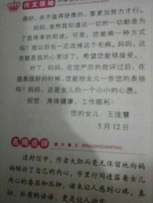 陽(yáng)光校園主題作文450